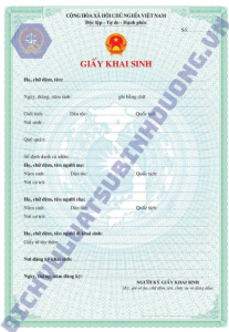 Mẫu giấy khai sinh -  Ly hôn có yếu tố  nước ngoài - dichvuluatsubinhduong