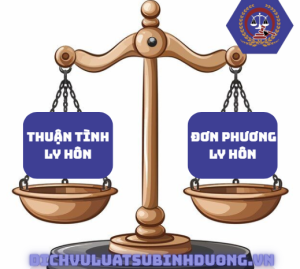 Khác biệt giữa thuận tình và đơn phương trong trường ly hôn có yếu tố nước ngoài - dichvuluatsubinhduong
