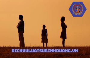 Trường hợp: Một cha là người Việt, mẹ là người nước ngoài Khi ly hôn có yếu tố nước ngoài - dichvuluatsubinhduong