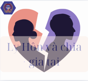 Hướng dẫn ghi yêu cầu phân chia tài sản theo luật quốc tế